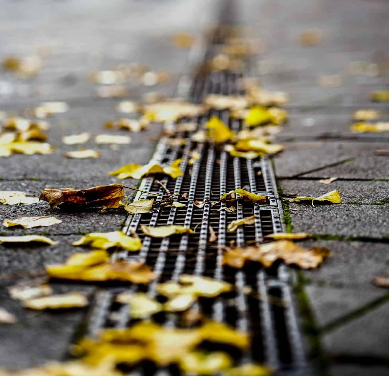 How Clogged Gutters Can Lead to Foundation Problems