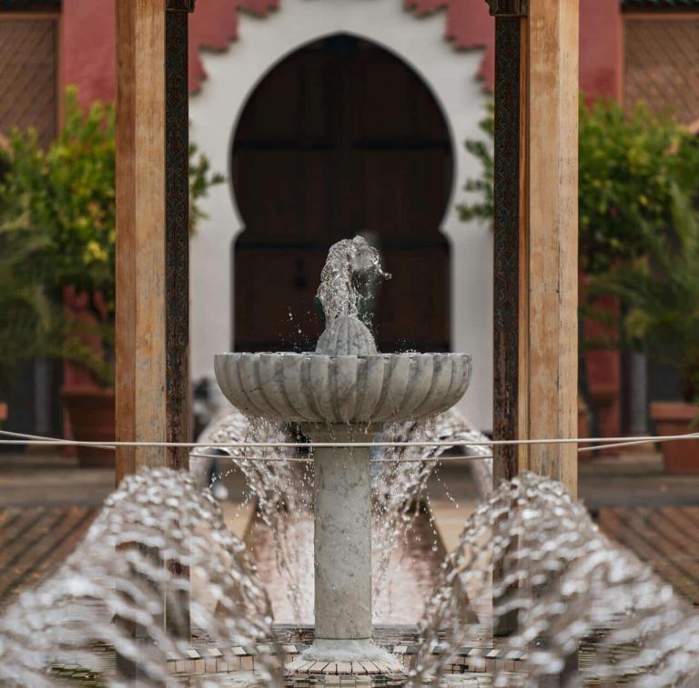 Four Water Garden Ideas for Patios and Small Spaces