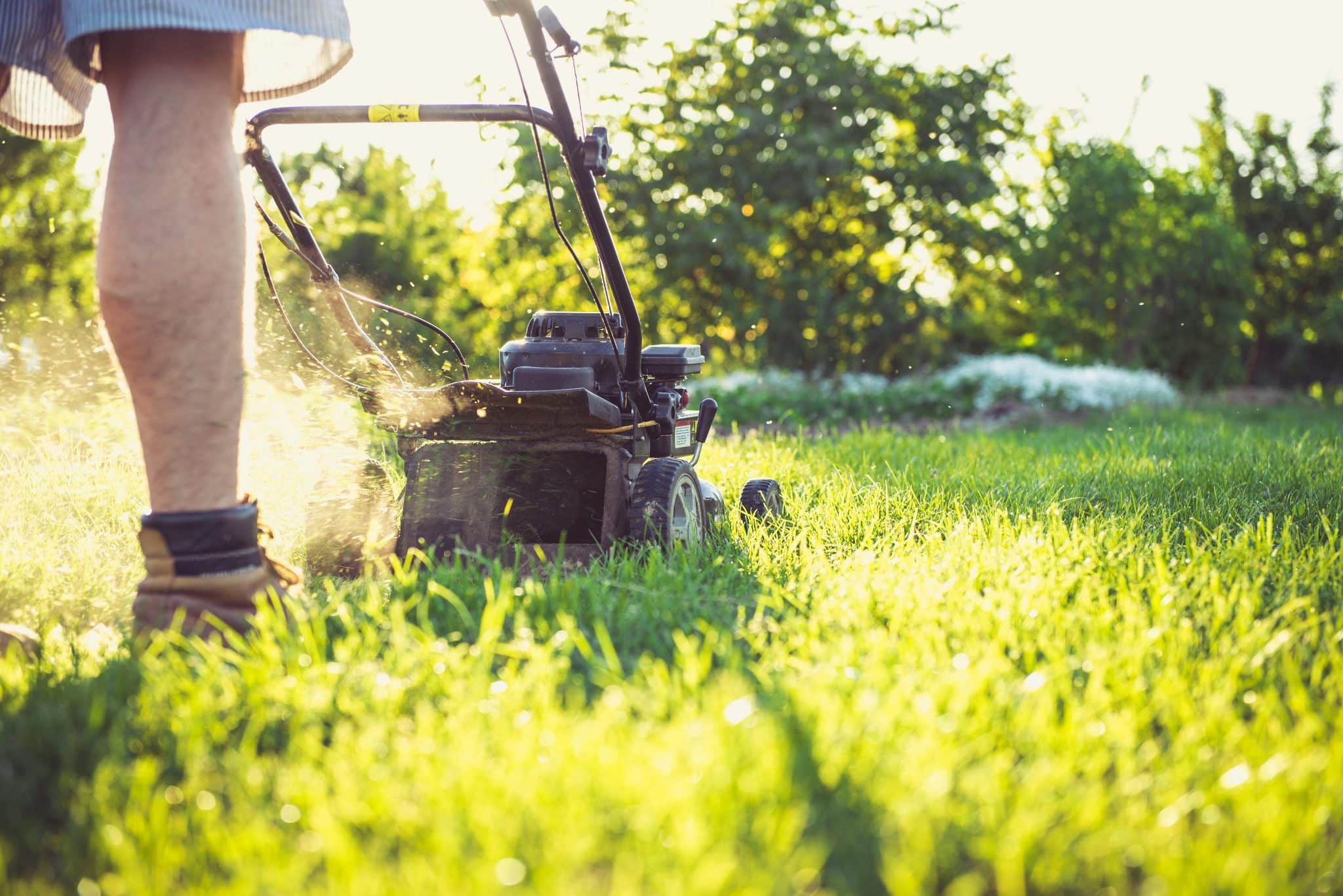 The Most Common Reasons Mower Belts Fail
