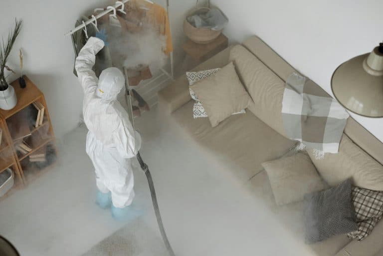 Critical Signs That Say You Need Professional Pest Control Immediately