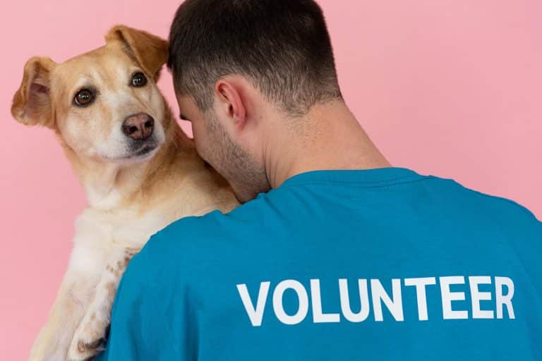 From Shelter to Support: How Rescue Animals Make the Best ESAs