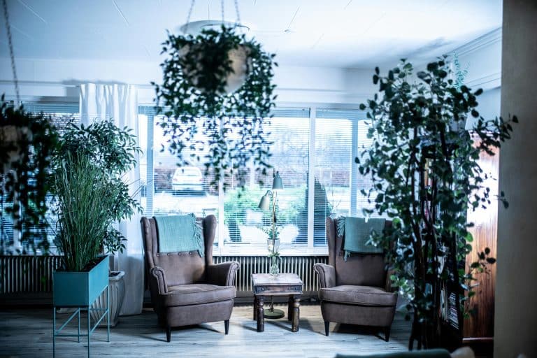 Top Blind Design Trends for 2025