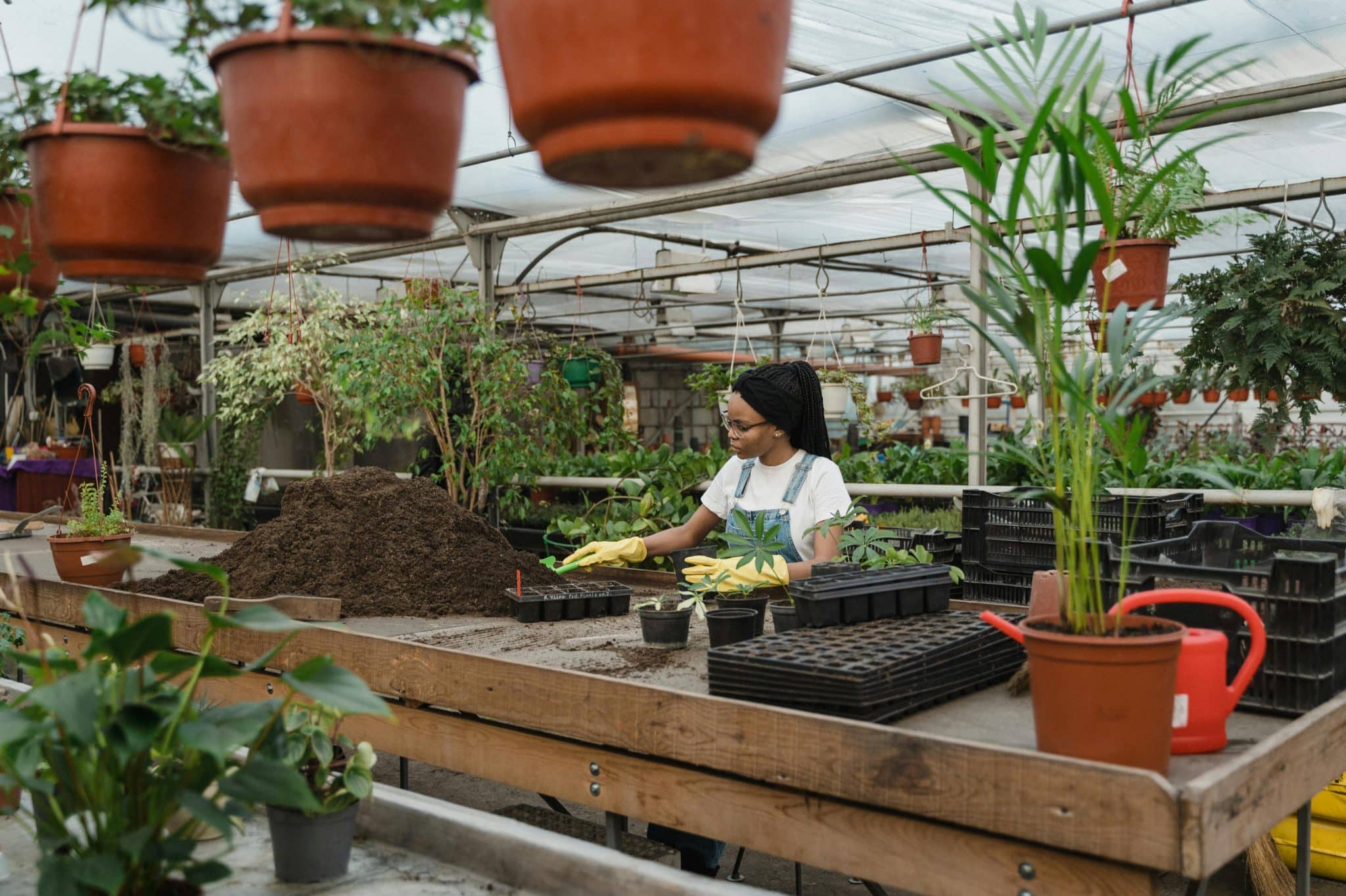 Are Homeowners Reimagining the Greenhouse as a Year-Round Living Space