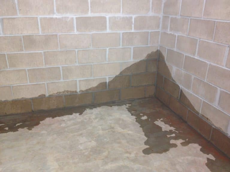 Hidden Dangers of a Wet Basement