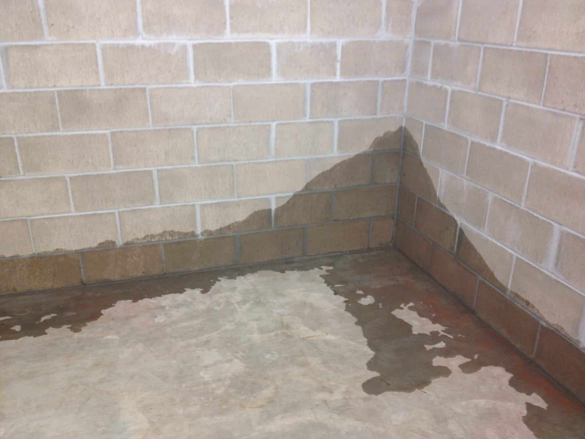 Hidden Dangers of a Wet Basement
