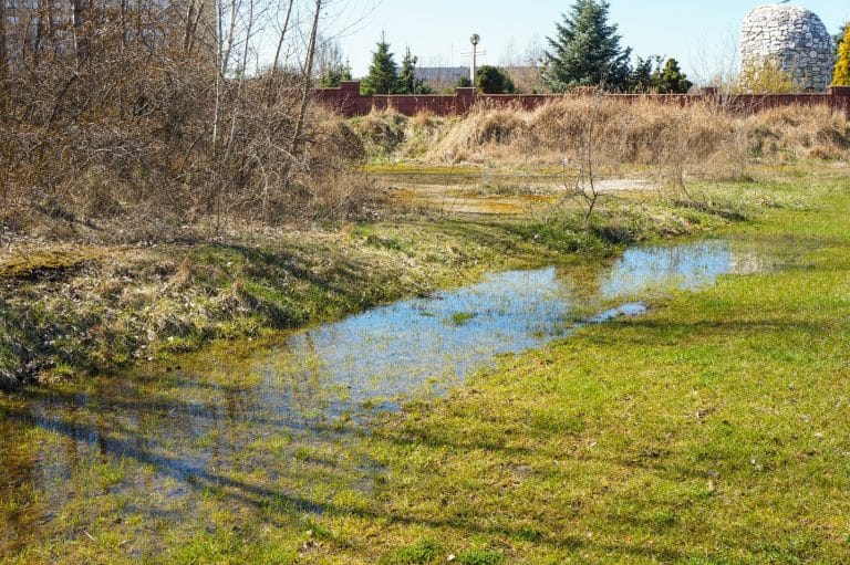 How to Protect Your Wheaton Home from Water Damage