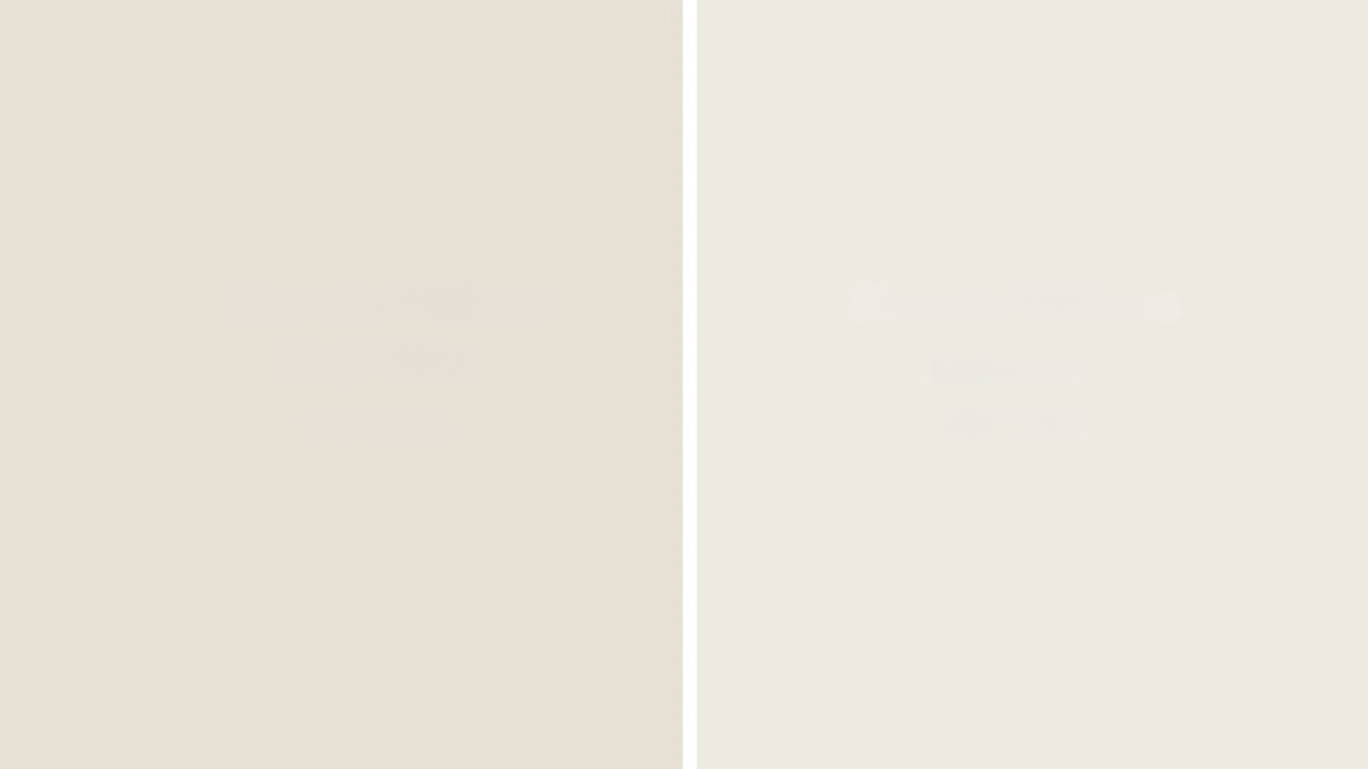 Shoji White vs Alabaster- Which is Right for You?