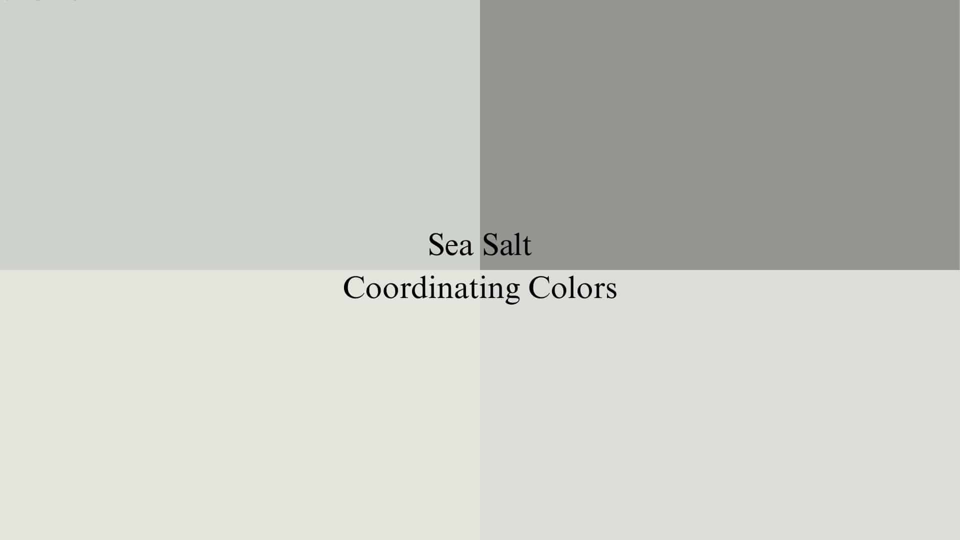What Colors Coordinate with Sherwin Williams Sea Salt?
