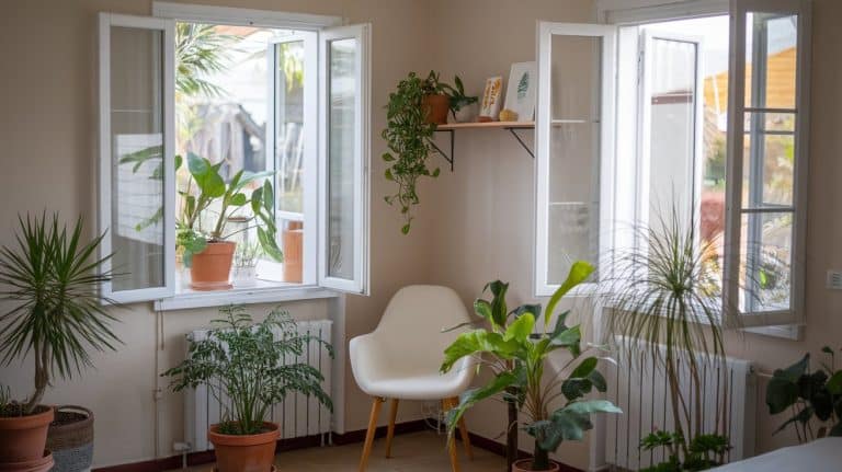 how to get musty smell out of house