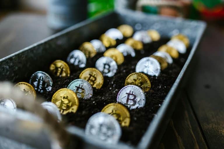 Bitcoin Casinos to Play in 2025
