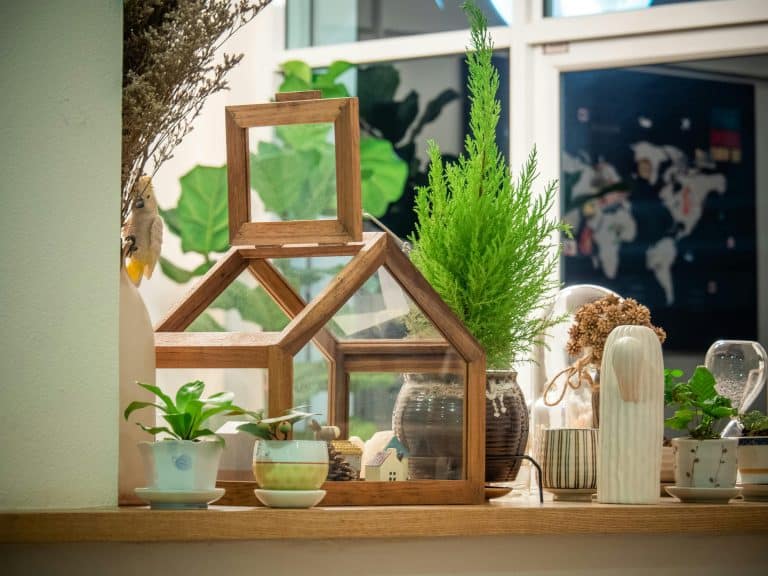 How a Globe Planter Can Add a Modern Twist to Your Garden