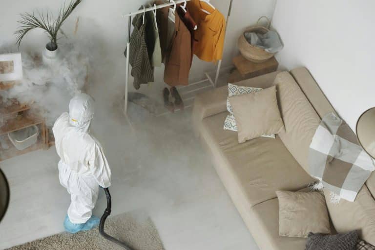 How Do Phoenix Pest Control Experts Handle Local Pest Challenges