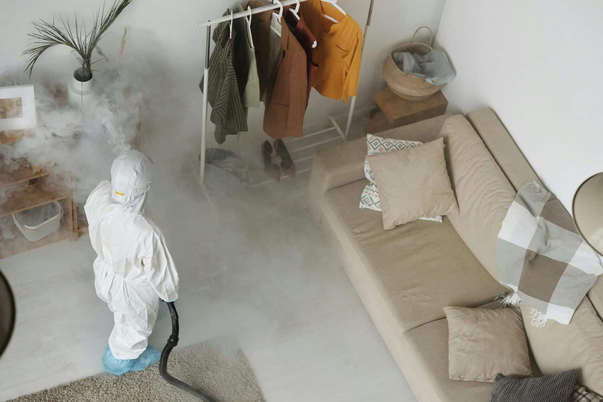 How Do Phoenix Pest Control Experts Handle Local Pest Challenges