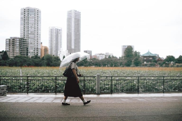 How Modern Umbrella Designs Improve Safety in Windy Conditions