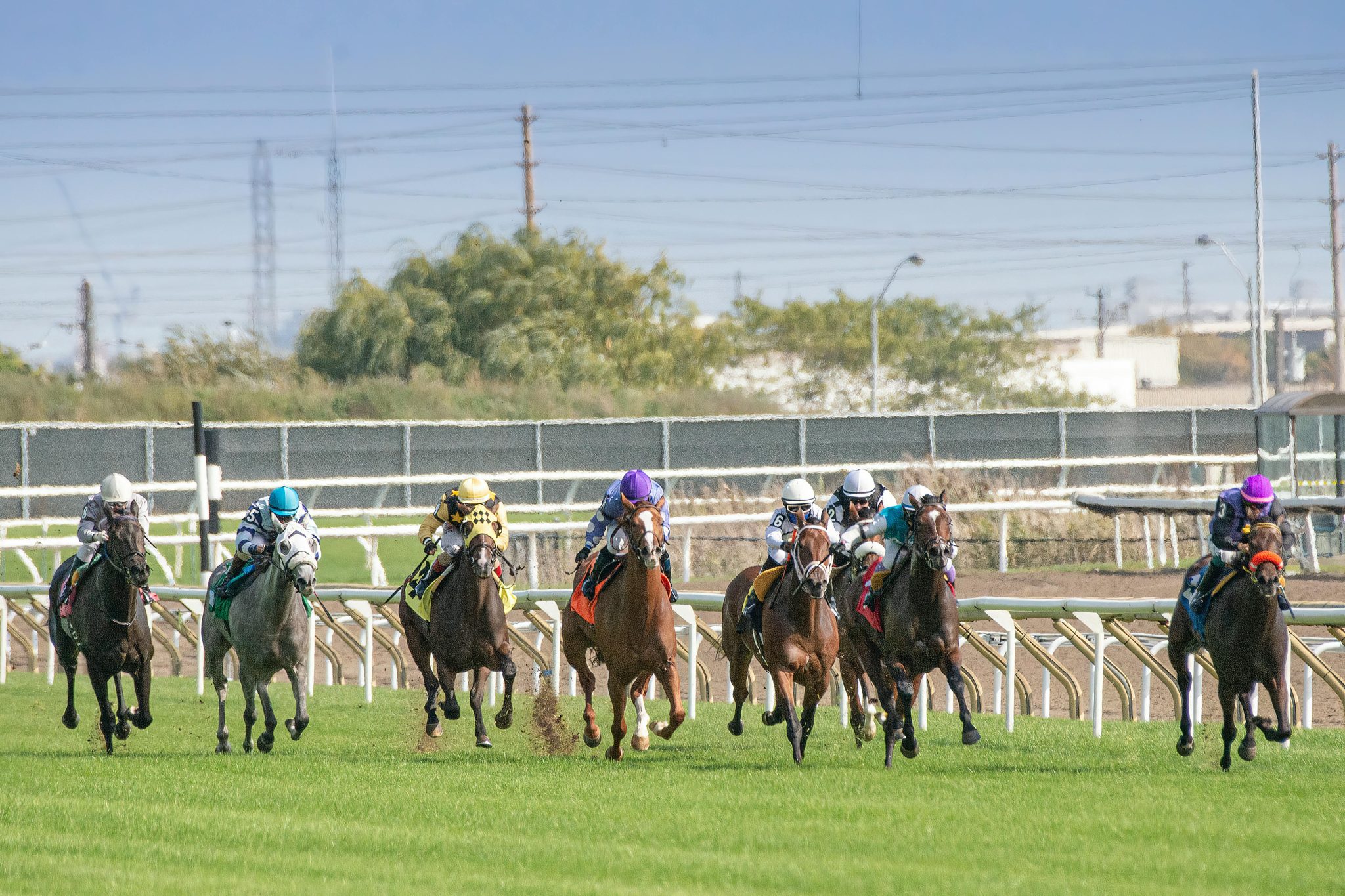 Prestigious Horse Racing Events Around the World