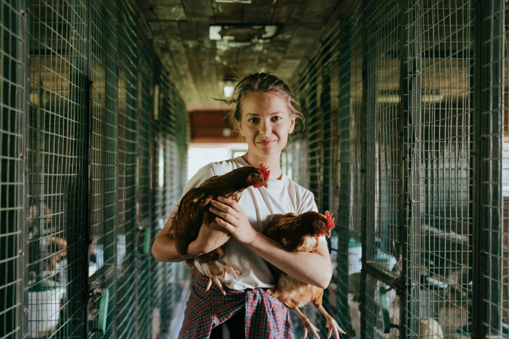 The Ultimate Guide to Choosing the Perfect Chicken Coop Design